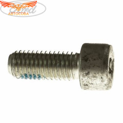 Болт тормозного диска заднего Ford Transit 2014- m10х1,5x25мм